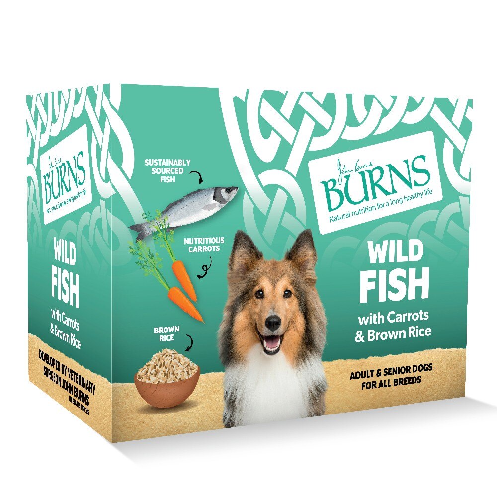 Burns Burns Carrots Organic Brown Adult Wet Dog Food pet food packaging